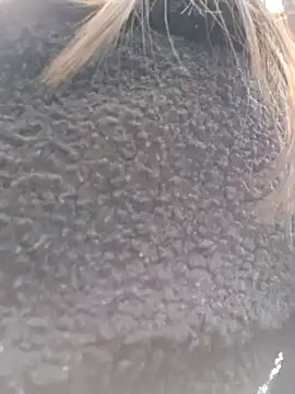 Snapshot of Violeta_12- chatting on 18, 3, 2025 Violeta 12- online show from 18, 3, 2025