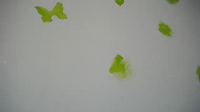 RACHELL  HOT online show from 30, 9, 2025