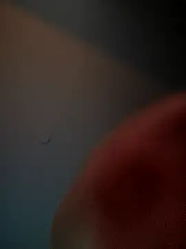 Snapshot of lolabun247 chatting on 2, 11, 2025 lolabun247 online show from 2, 11, 2025