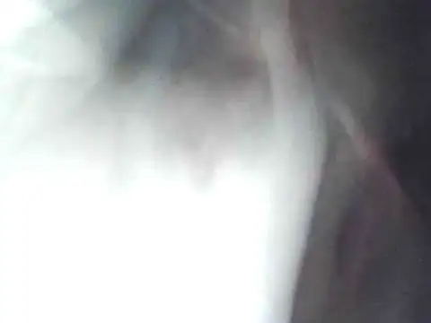 technodotado online show from 23, 4, 2026