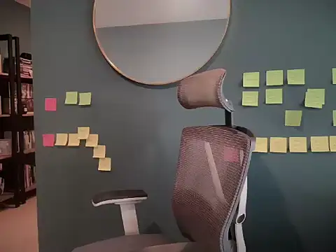 mexa bear online show from 3, 12, 2025