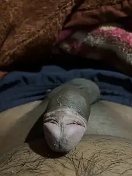 Snapshot of delhiboyz1 chatting on 16, 2, 2025 delhiboyz1 online show from 16, 2, 2025