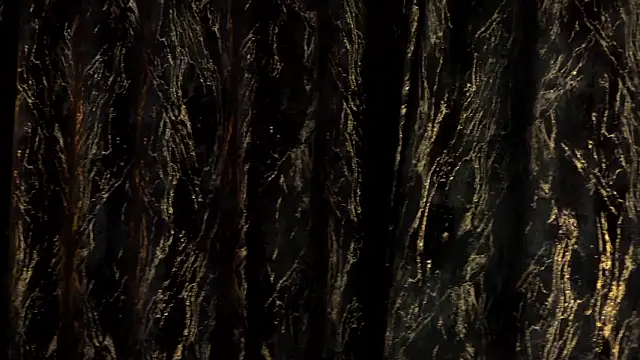 MiaCharm online show from 24, 2, 2026