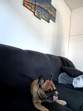 Snapshot of Bastilein1985 chatting on 30, 10, 2025 Bastilein1985 online show from 30, 10, 2025