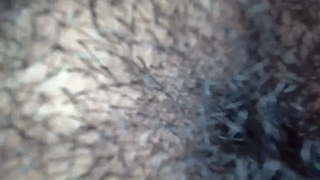 white sexy  online show from 29, 11, 2025