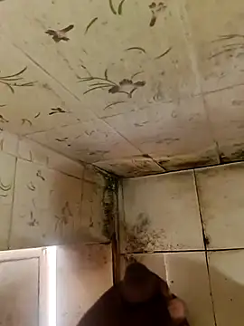 indiasexmf online show from 11, 10, 2025