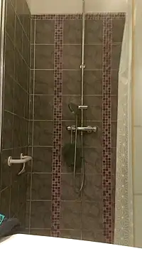 pachapeter online show from 29, 1, 2025