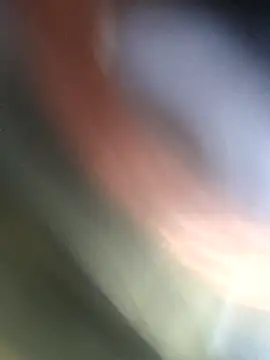 jasss-11 online show from 4, 11, 2025