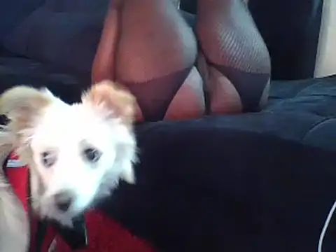 Snapshot of KikiLovesD chatting on 23, 12, 2024 KikiLovesD online show from 23, 12, 2024