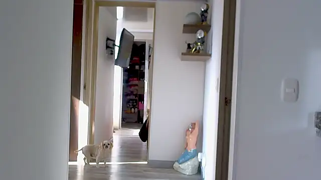 Snapshot of adan_eva960 chatting on 9, 9, 2025 adan eva960 online show from 9, 9, 2025