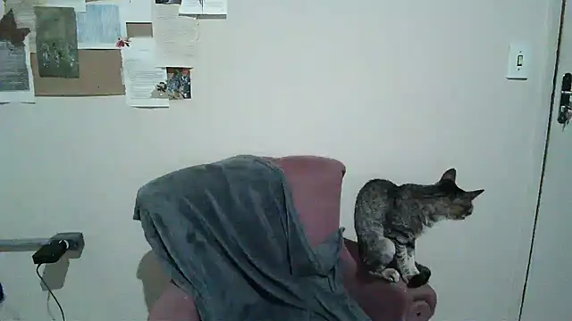 Snapshot of bbyedarling chatting on 6, 11, 2025 bbyedarling online show from 6, 11, 2025