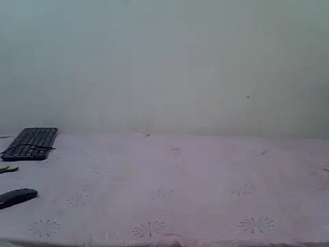 Snapshot of THUEBA17 chatting on 9, 11, 2025 THUEBA17 online show from 9, 11, 2025