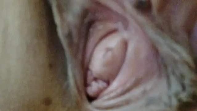 sonyx online show from 1, 3, 2026