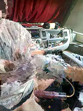 richa22cm online show from 12, 11, 2025