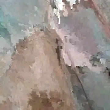 jockey2051992 online show from 7, 3, 2026