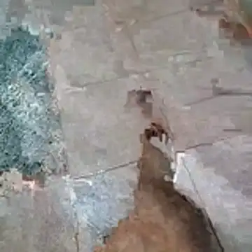 jockey2051992 online show from 13, 4, 2026