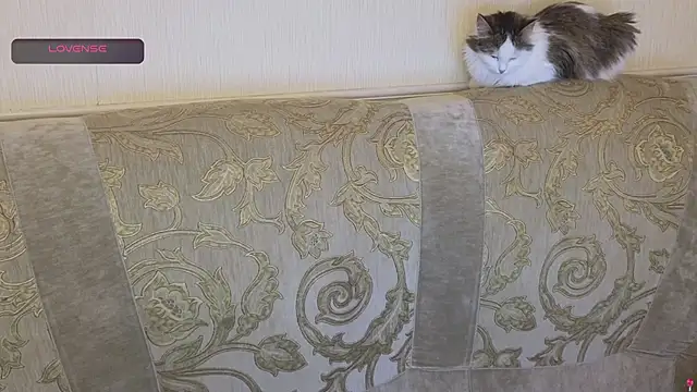 gertanord online show from 26, 10, 2025