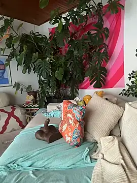 Stella-Kink online show from 26, 12, 2024