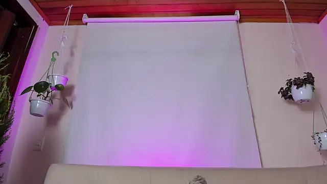 Snapshot of roselinedior chatting on 27, 1, 2025 roselinedior online show from 27, 1, 2025