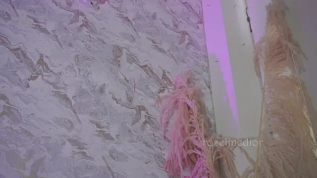 Snapshot of roselinedior chatting on 2, 12, 2025 roselinedior online show from 2, 12, 2025