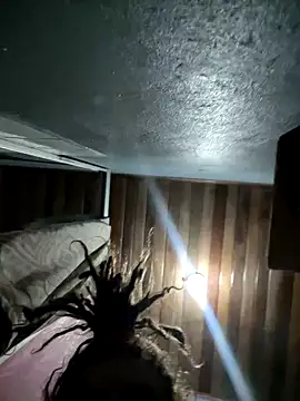 kamasutra20 online show from 14, 4, 2026