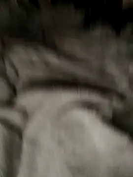 Snapshot of Tigerhill2023 chatting on 27, 10, 2025 Tigerhill2023 online show from 27, 10, 2025