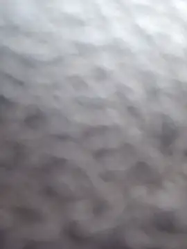 cdressupdiva online show from 20, 2, 2025