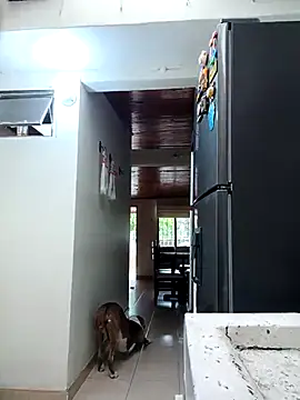 sebasxx97 online show from 11, 2, 2026