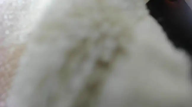 charlie hotxxx online show from 18, 1, 2025