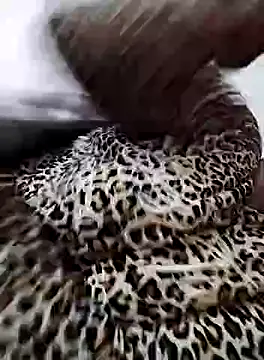 Snapshot of nayakaA7 chatting on 5, 2, 2025 nayakaA7 online show from 5, 2, 2025