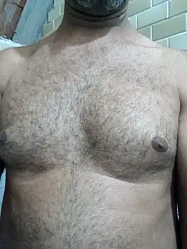 Sergipano fogozinho online show from 12, 11, 2025