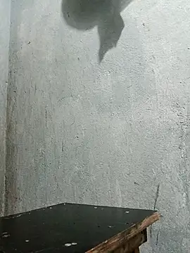 Sergipano fogozinho online show from 5, 12, 2025