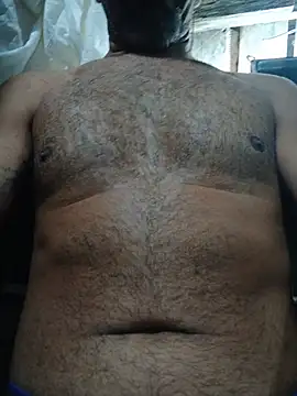 Sergipano fogozinho online show from 20, 7, 2026