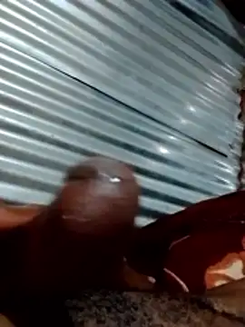 walPssY1 online show from 5, 11, 2025