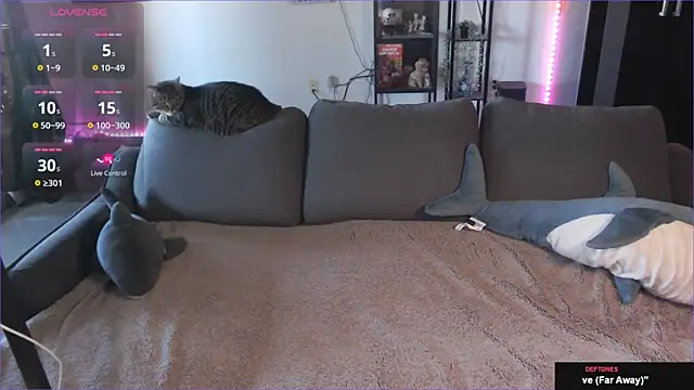 Snapshot of Clairedelilah chatting on 21, 1, 2025 Clairedelilah online show from 21, 1, 2025