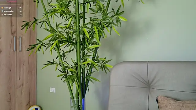 were-Naughty online show from 27, 2, 2025