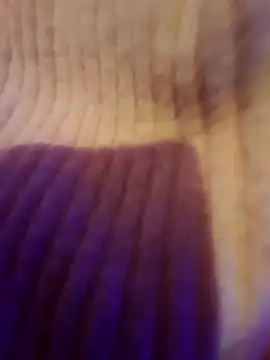 AsStraightAsARuler online show from 3, 12, 2025