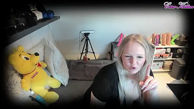 caro kitten online show from 21, 3, 2025