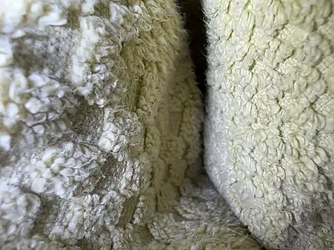 Amarok39 online show from 13, 2, 2025