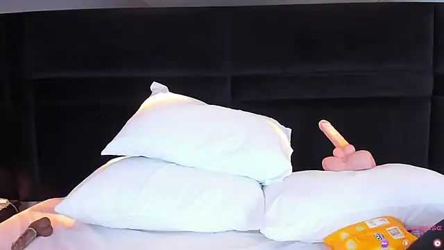 Snapshot of MiaStor chatting on 29, 1, 2025 MiaStor online show from 29, 1, 2025