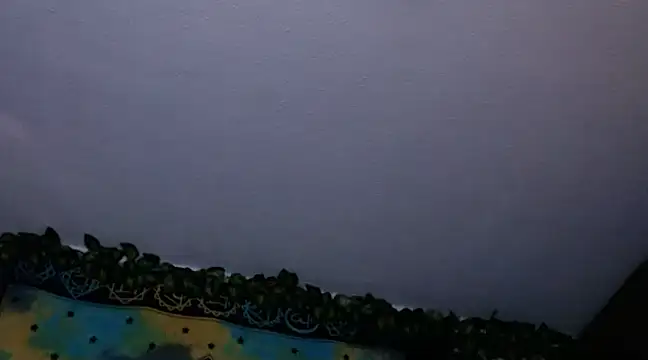 chanel 1041 online show from 26, 12, 2024