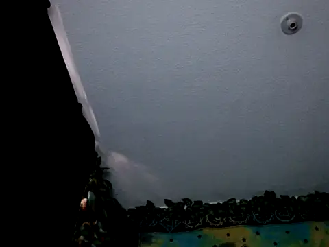 chanel 1041 online show from 3, 1, 2025