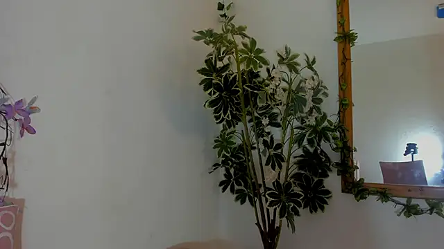 Snapshot of FaloonRoussel chatting on 22, 6, 2026 FaloonRoussel online show from 22, 6, 2026