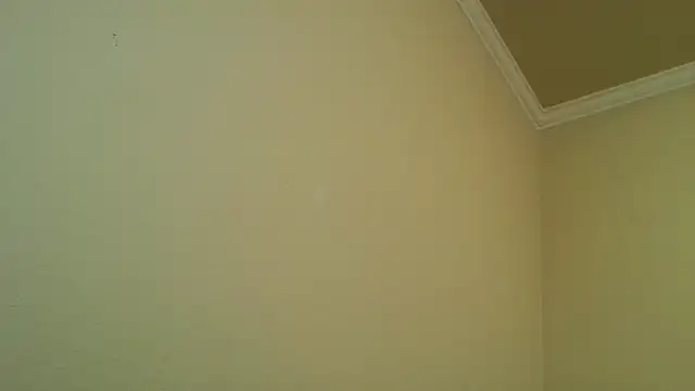 YelpedAverting online show from 17, 12, 2025