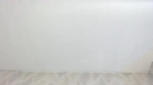 Snapshot of KasandraPhillips chatting on 13, 2, 2025 KasandraPhillips online show from 13, 2, 2025