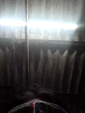 Snapshot of HotSexyBoudi chatting on 15, 11, 2025 HotSexyBoudi online show from 15, 11, 2025