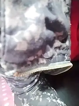 Dangky1 online show from 3, 2, 2025