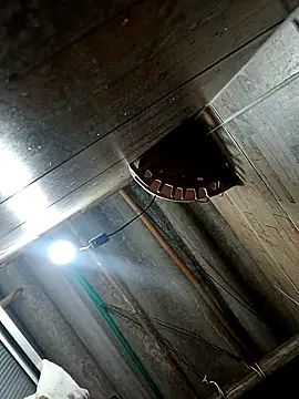 Snapshot of Restrepo300 chatting on 3, 10, 2025 Restrepo300 online show from 3, 10, 2025