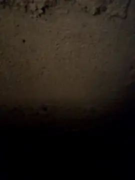 camila picante online show from 31, 3, 2026