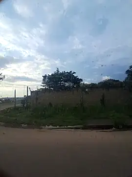 Petrossa online show from 29, 11, 2025